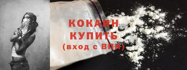 бошки Лагань