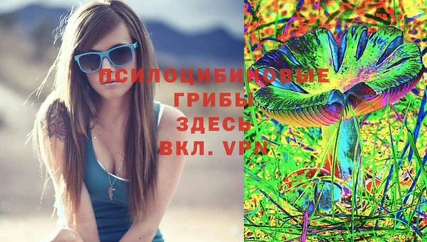 бошки Лагань
