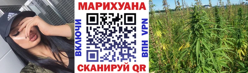 Купить закладки  Острогожск  Бошки марихуана индика 